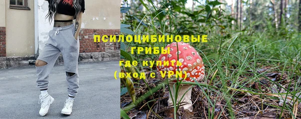 прущая мука Гусь-Хрустальный