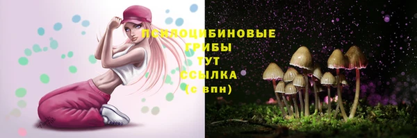 амф Новокубанск