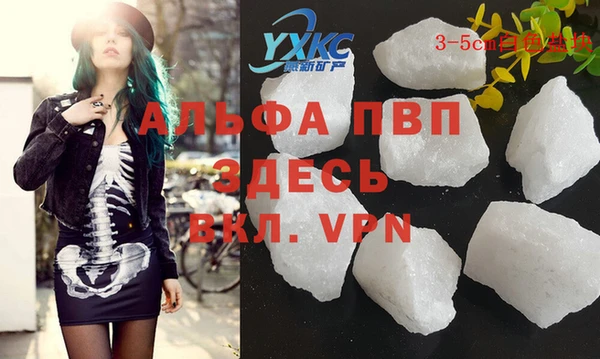 дживик Новозыбков